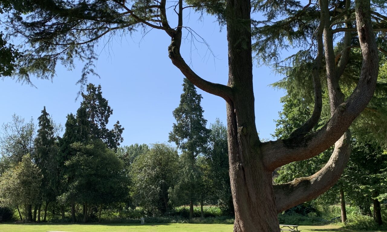 Middleton Hall & Gardens