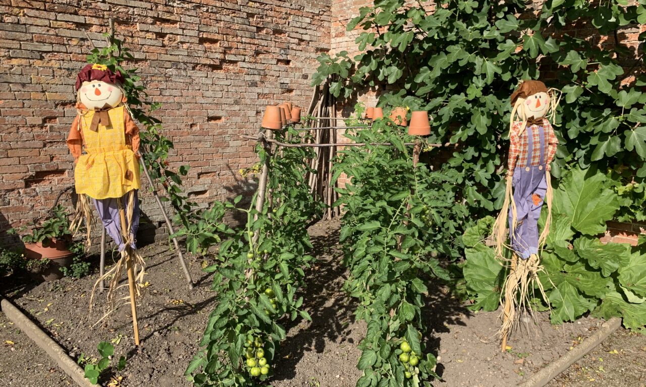 Middleton Hall & Gardens