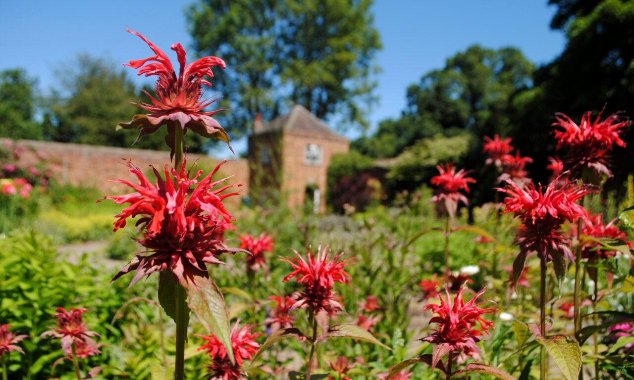 Middleton Hall & Gardens