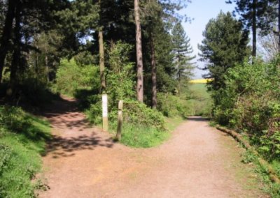 Hartshill Hayes Country Park