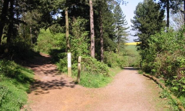 Hartshill Hayes Country Park