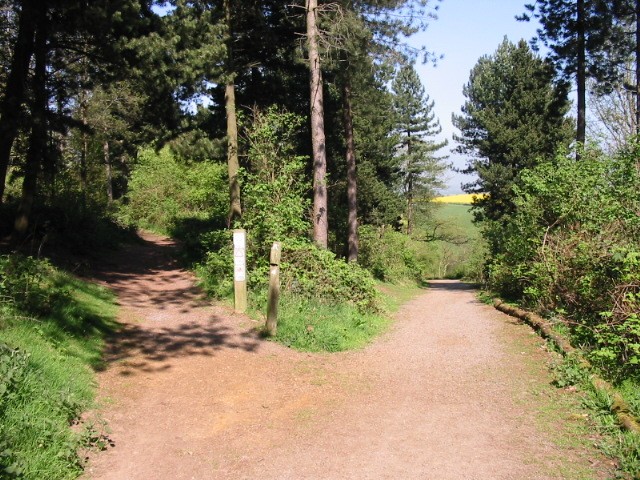Hartshill Hayes Country Park
